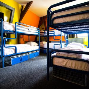 Private Mixed Dormitory Room (6 Adults)