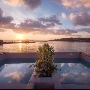 Junior Suite with Private Plunge Pool