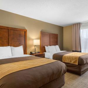 Queen Room with Two Queen Beds with Sofa Bed - Non-Smoking