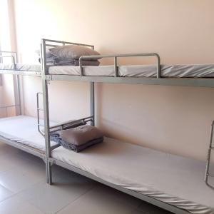 Bunk Bed in Mixed Dormitory Room