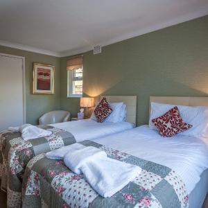 Cozy Twin Room