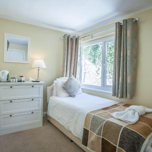 Cozy Single Room