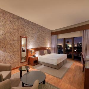 Skyline Premium Room 