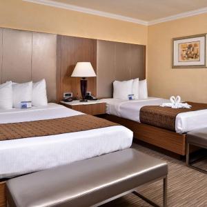 Double Room with Two Double Beds - Disability Access - Non-Smoking