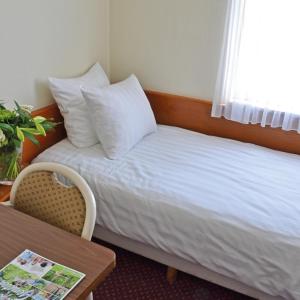 Budget Single Room