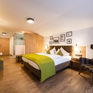 Double Room Alpine with Balcony and Mountain View