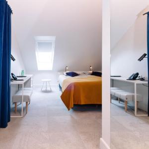 Standard Double or Twin Room with Roof Window