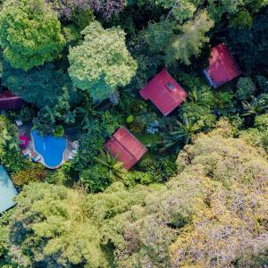 Bungalow