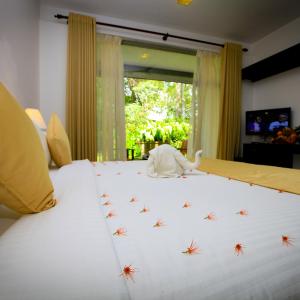 Deluxe Double or Twin Room with safari