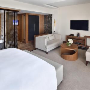 Junior Suite, Executive lounge access, Junior Suite, 1 King
