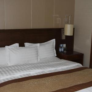 Basic Single Room