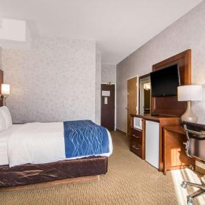 Queen Room - Non-Smoking/Pet Friendly