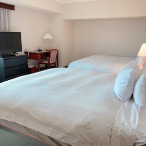 Premier Executive Twin Room (2 adults)