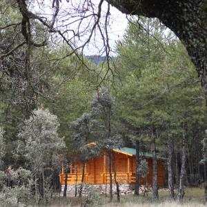 Wood Cabin (5-6 adults)