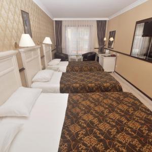 Family Room (4 Adults)