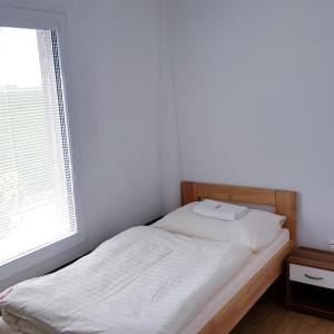 Room 10 : Single Room