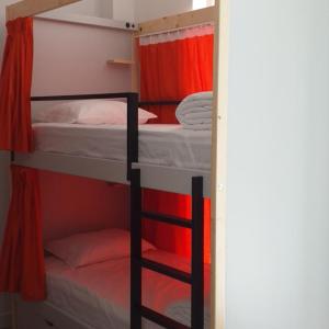 Bed in 10-Bed Mixed Dormitory Room