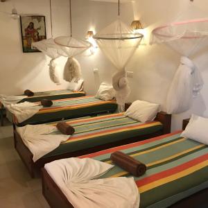 Single Bed in Female Dormitory Room