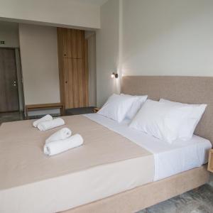 Deluxe Double or Twin Room with Balcony