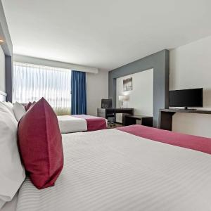 Double Room with Two Double Beds - Accessible/Non-Smoking