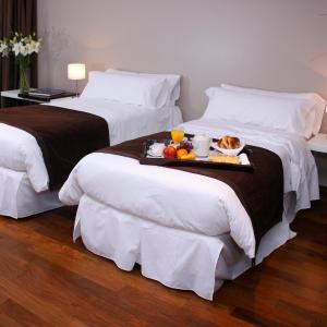 Large Double or Twin Room