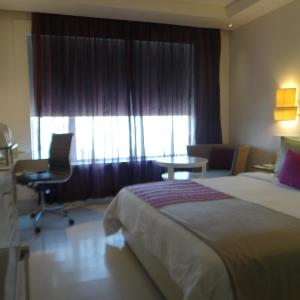Deluxe Room - 1  Double Bed