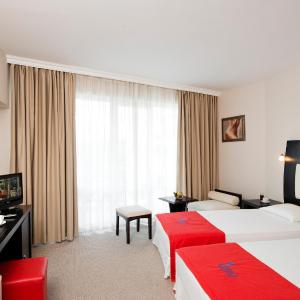 Single Room with Balcony