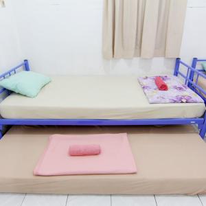 Bunk Bed in Mixed Dormitory Room