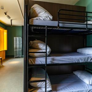 Bunk Bed in 9-Bed Female Dormitory Room