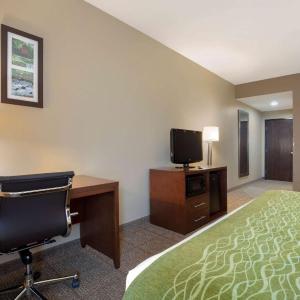King Room - Non-Smoking