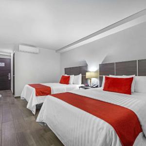 Double Room with Two Double Beds