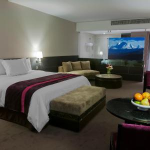 Premium Suite