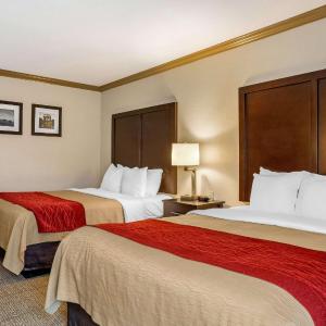 Queen Room with Two Queen Beds - Non-Smoking