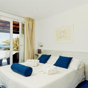 Superior Double Room with Terrace and Sea view 