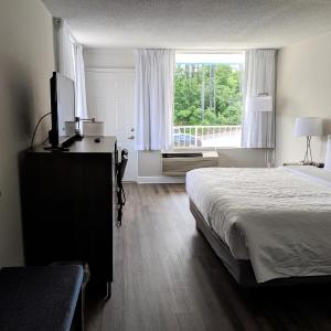 King Room - Courtyard