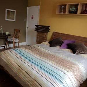 Superior Studio with Shared Bathroom
