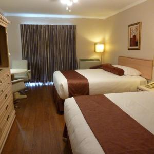 Double Room with Two Double Beds