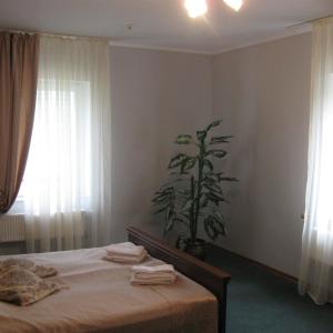 Comfort Quadruple Room