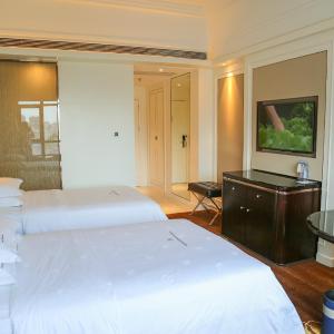 Business Twin Room