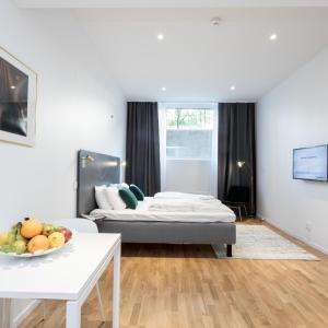 Queen Studio Apartment - Basement