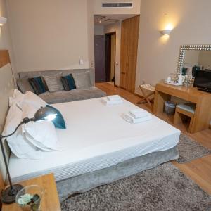 Triple Room with Mountain View