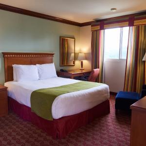 Queen Suite