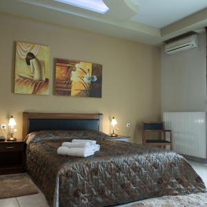 Double or Twin Room with Fireplace