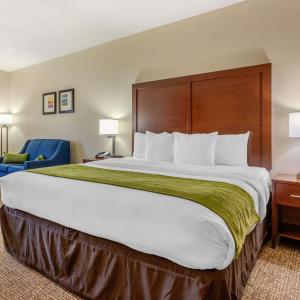 Superior King Suite - Non-Smoking