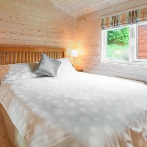 Lodge C (4 Adults)