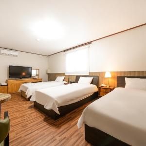 Triple Room with Mountain View