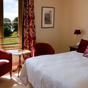 Single Room with Garden View