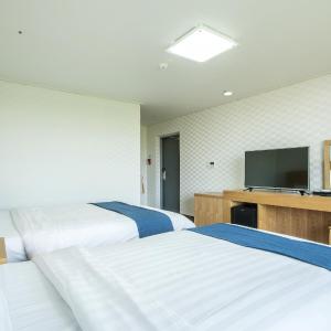 Superior Twin Room with City View