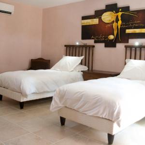 Twin Room with Spa Access