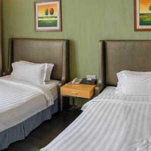 Executive Twin Room
